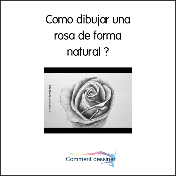 Como dibujar una rosa de forma natural